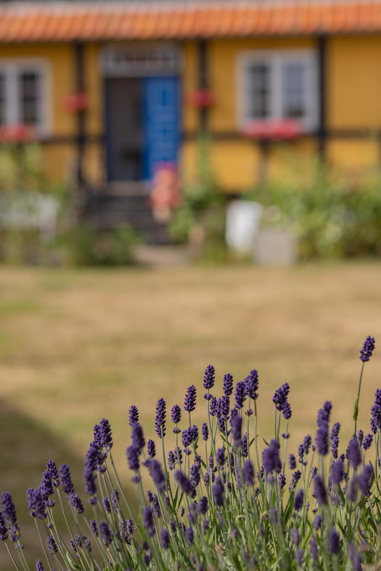 Pension Slaegtsgaarden Allinge-Sandvig Luaran gambar